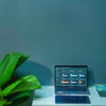 What actually moves the needle in SEO once the basics are done?